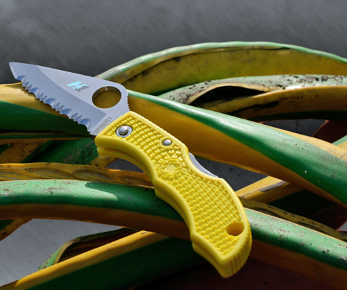 147 Spyderco Ladybug 3 Salt - LYLS3 фото 5