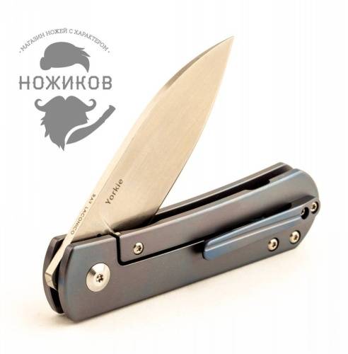 5891 Kizer Yorkie фото 3